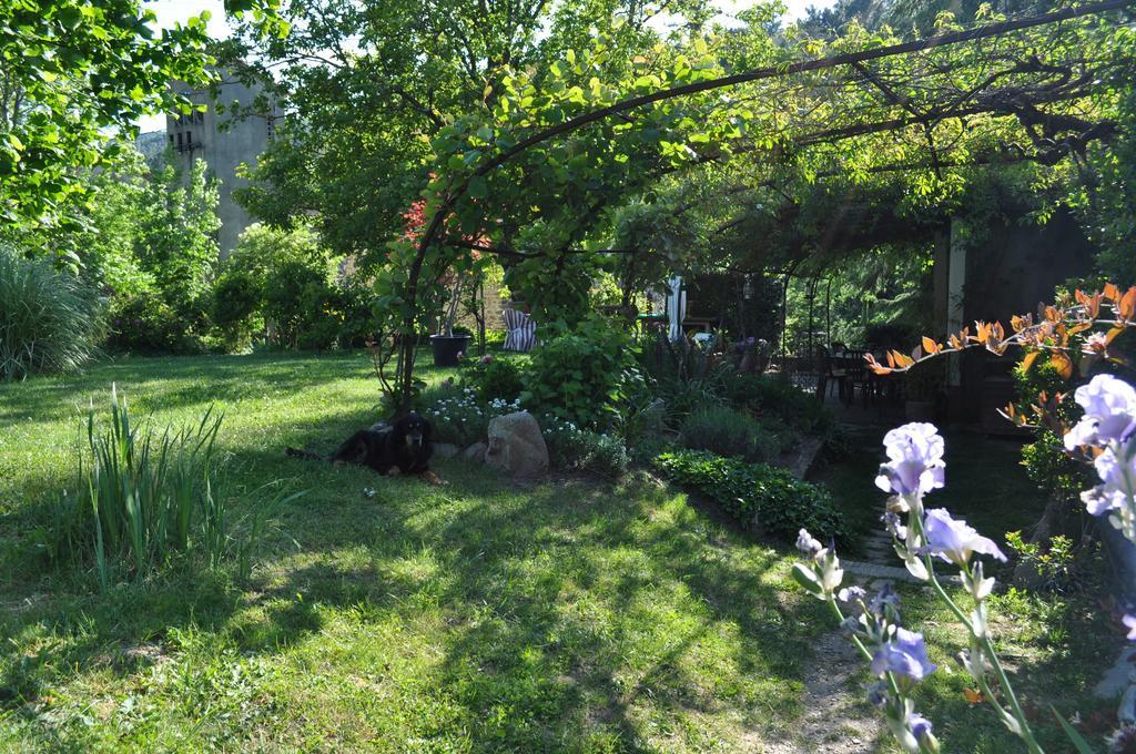 La Ribeyrette Bed & Breakfast Chamborigaud Exterior photo